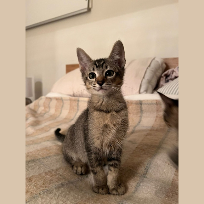 Photo of Sammy
