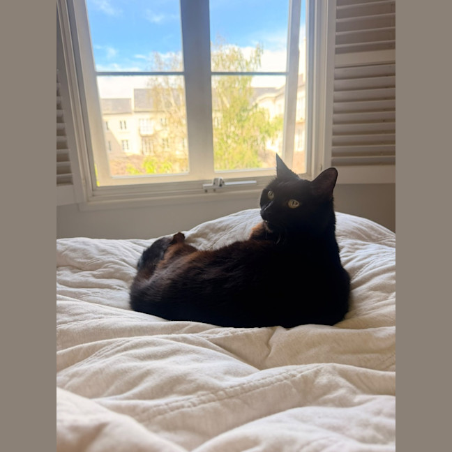 Photo of Mabel 