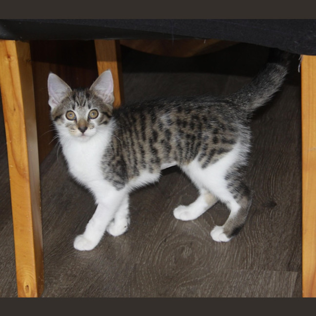 Photo of 💗 Logan 💗