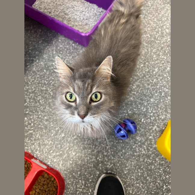 Photo of Georgie And Mr Biscuit