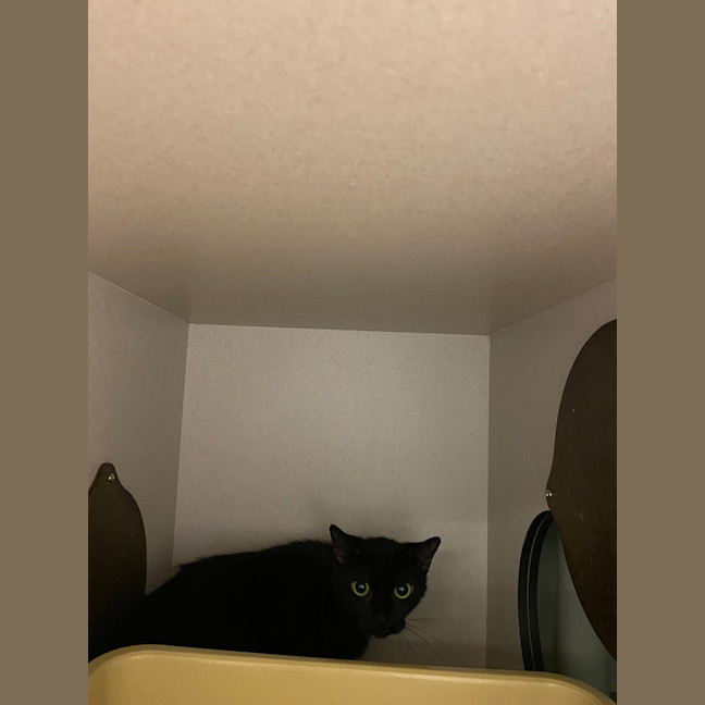 Photo of Faye