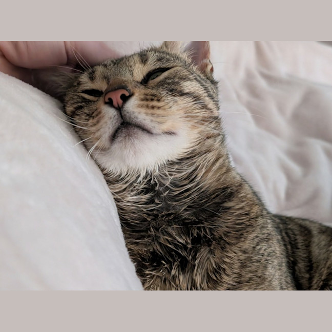 Photo of Leo
