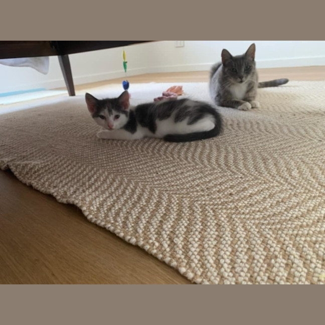 Photo of Ari And Gizmo