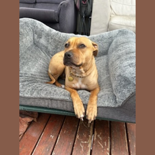 Photo of Lola