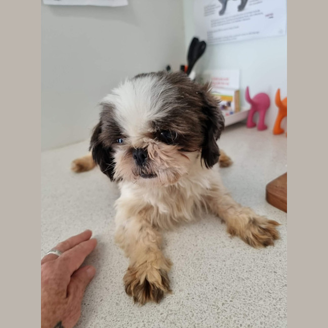 Photo of Bonnie