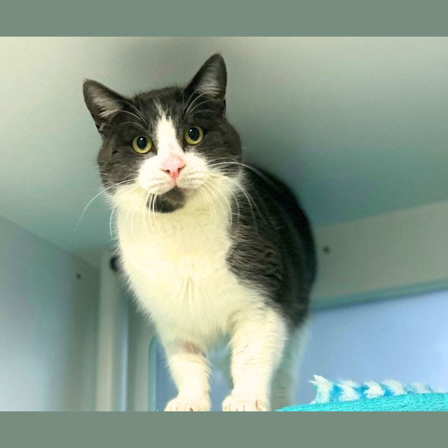 Photo of Catt Damon