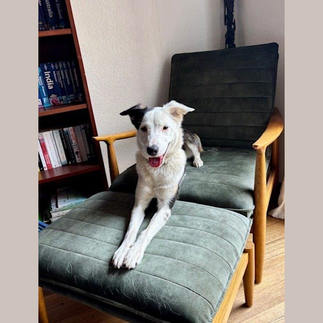 Photo of Xena Uffelman