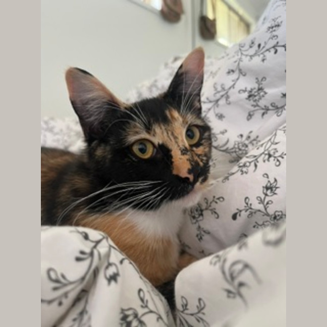 Photo of Lexi