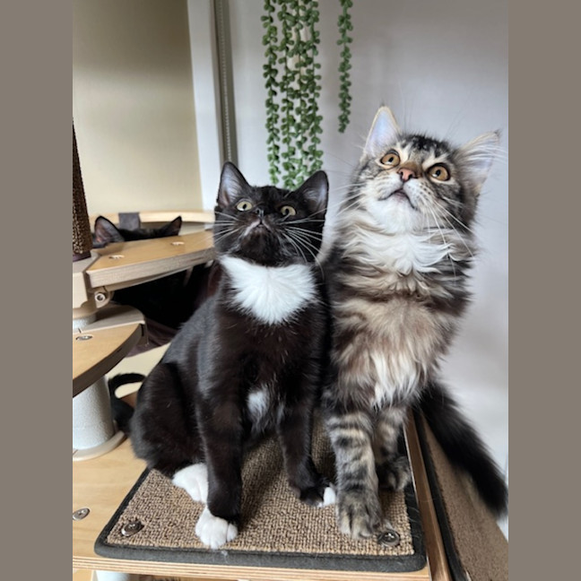 Photo of Jack & Jupiter