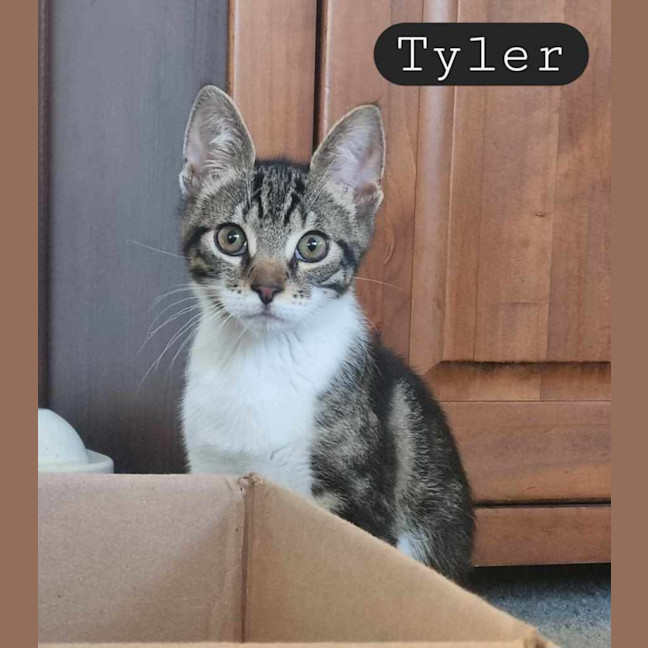 Photo of Tyler