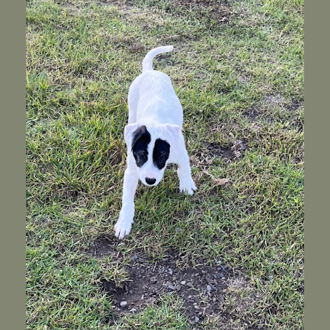 Photo of Tia Leighdara