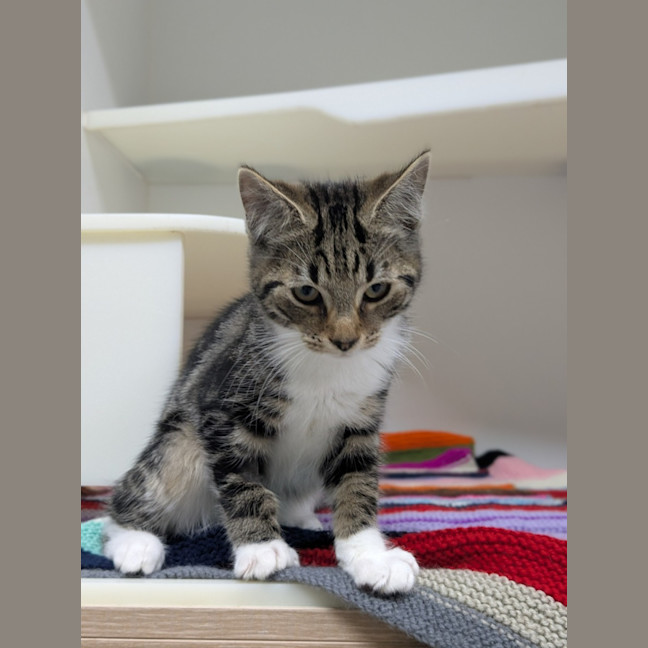 Photo of 🎣 Klaus 6750 🎣