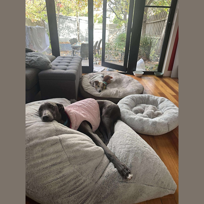 Photo of Caper