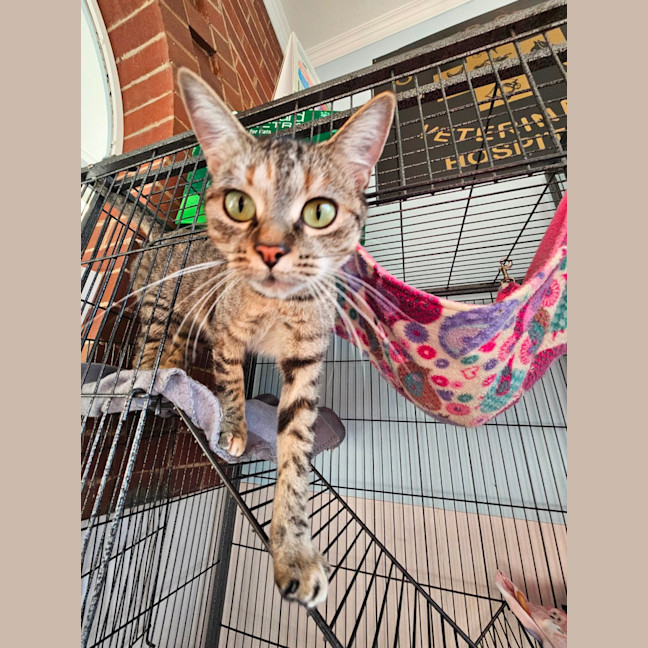 Photo of Ramona