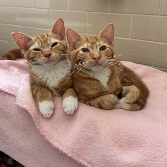 Photo of Mabel And Clifford