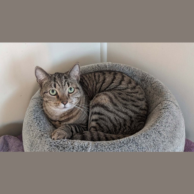 Photo of Storm