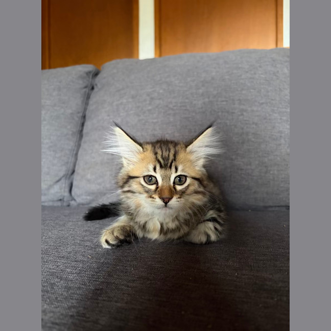 Photo of Samantha