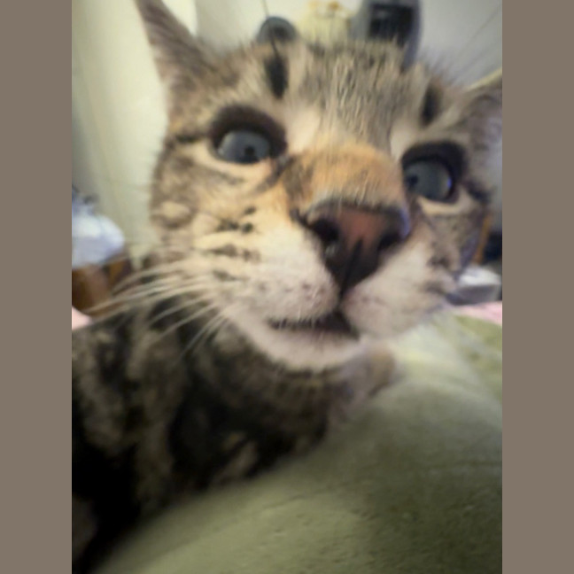 Photo of Hunter Mewell