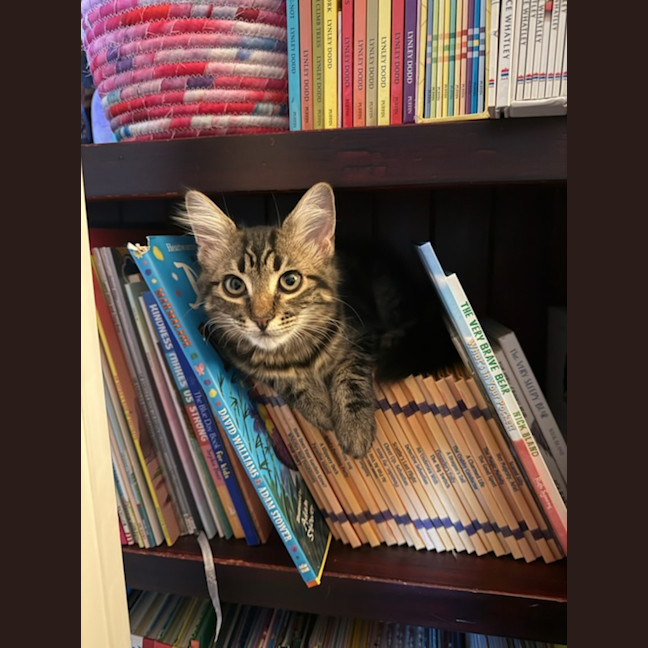 Photo of Eve & Coalette