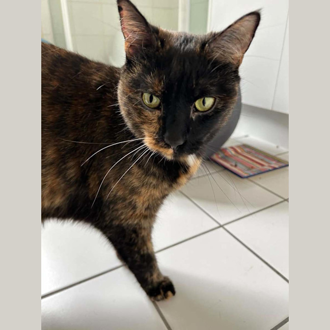 Photo of Lucy