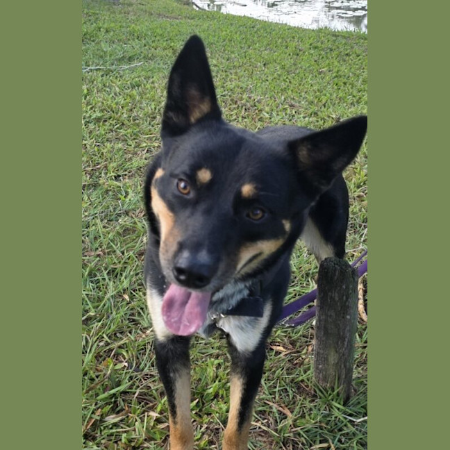 Photo of Cash