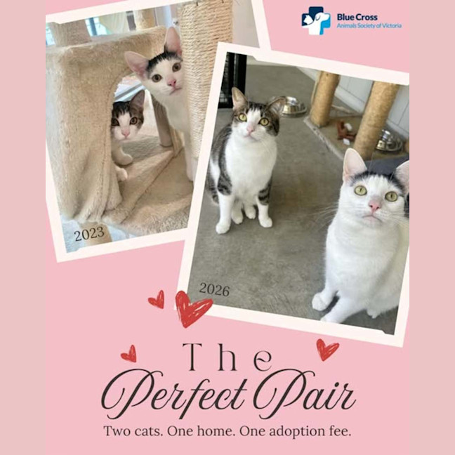 Photo of Molly And Mandy