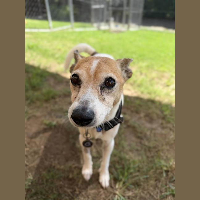 Photo of Buddy