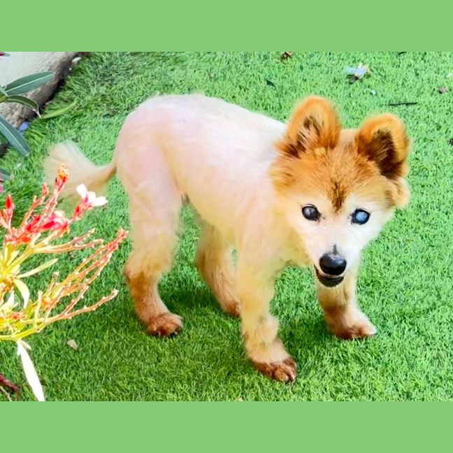 Photo of Ju Ju