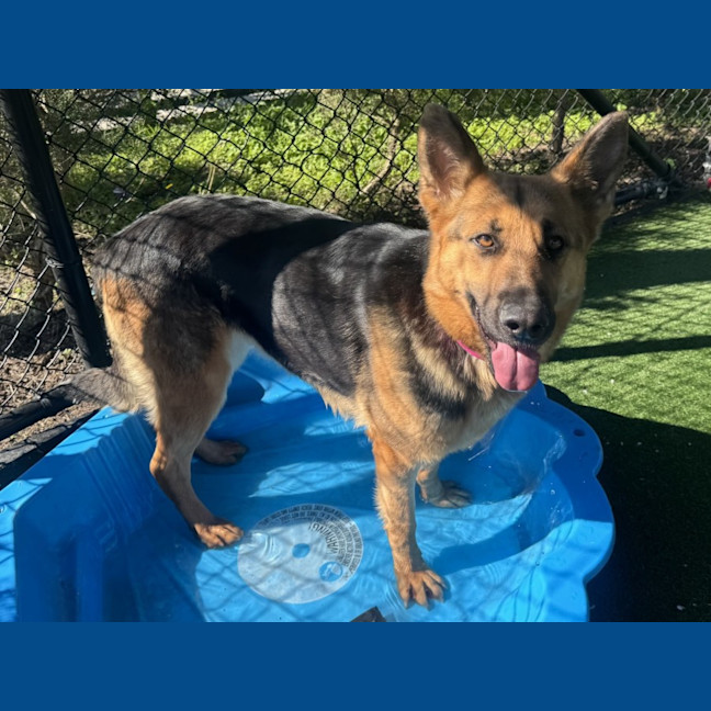 Photo of River Imp 1471