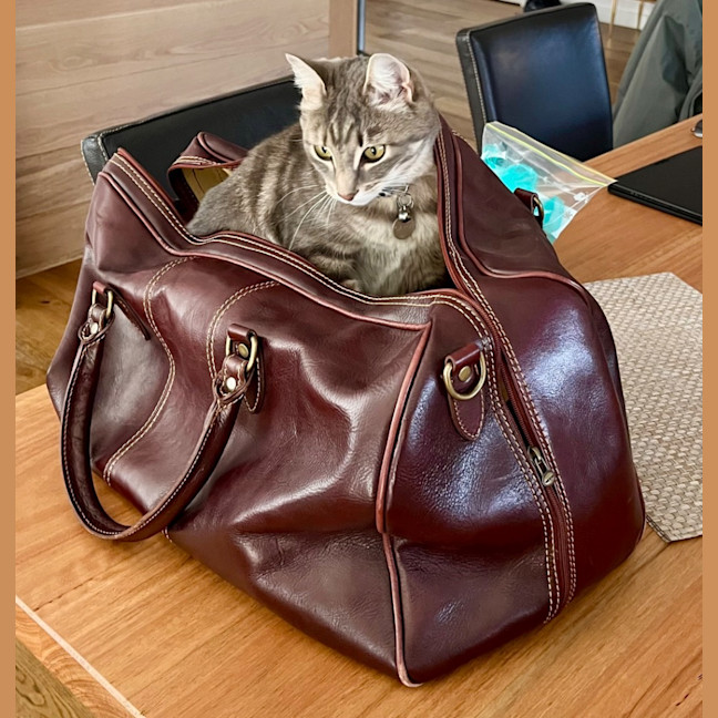 Photo of Lexi & Cara