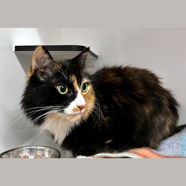 Photo of Callie Rsuk005242