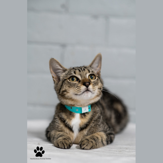 Photo of Tom