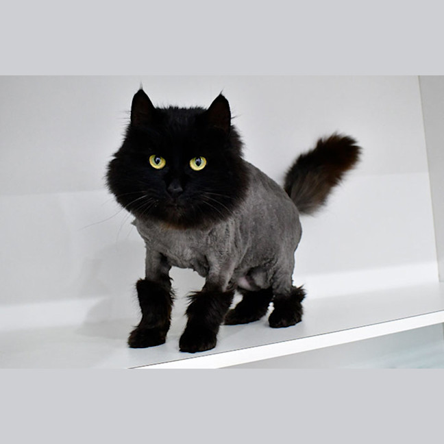 Photo of Betty Superstitious