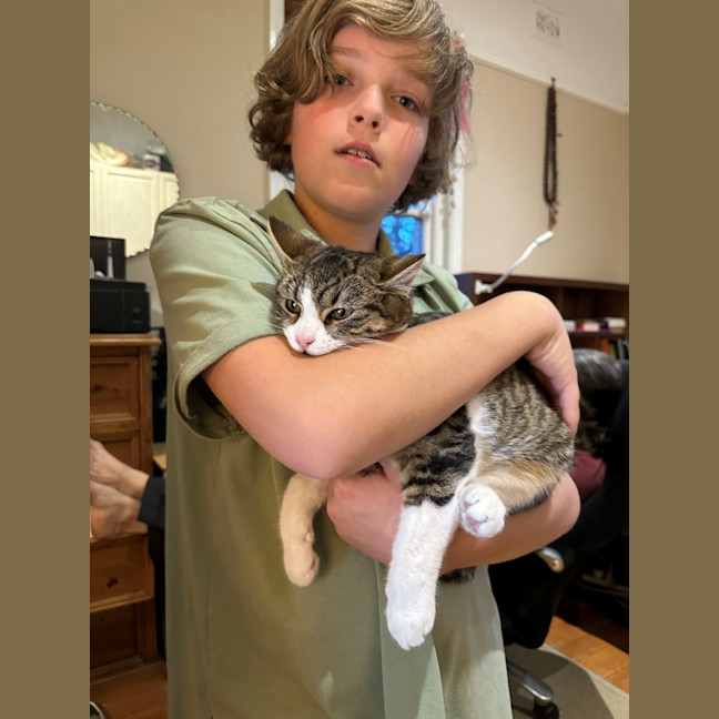 Photo of Cherry And Blossom