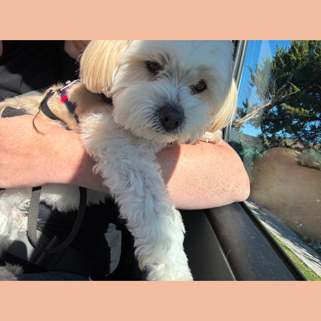 Photo of Miki
