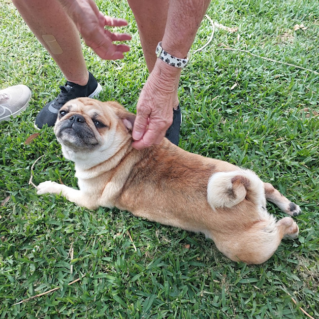 Photo of Phoebe 