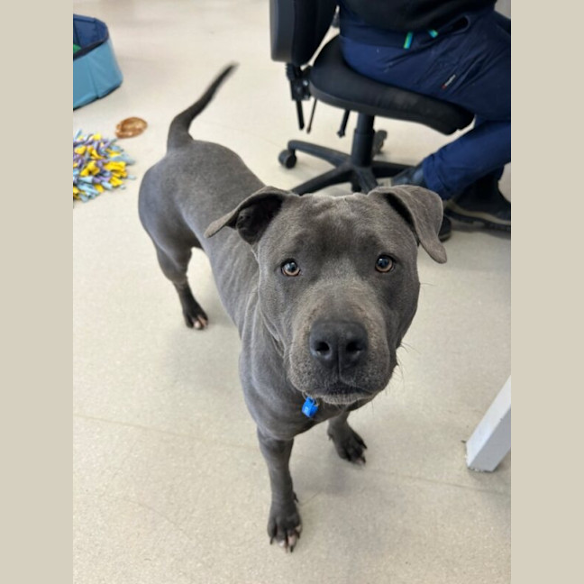 Photo of Lottie Nee Sky