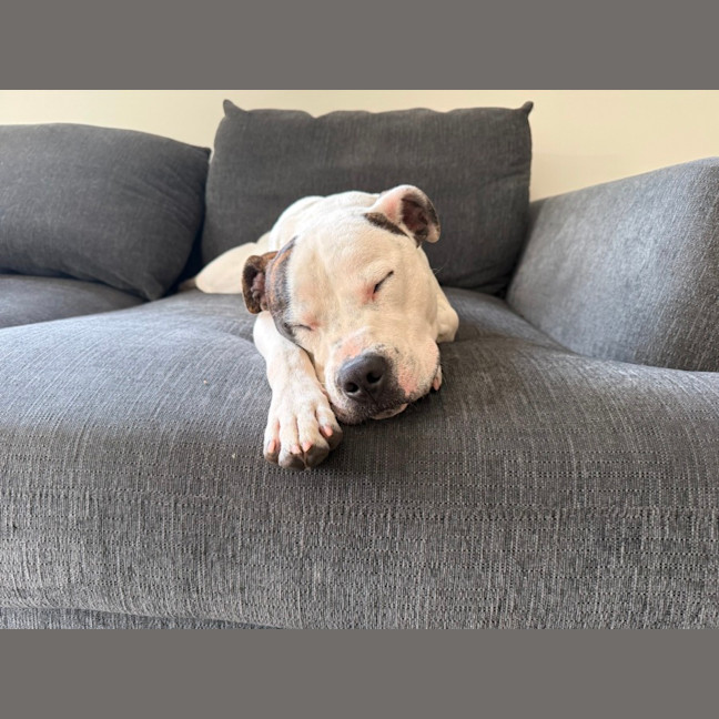 Photo of Frank Costanza