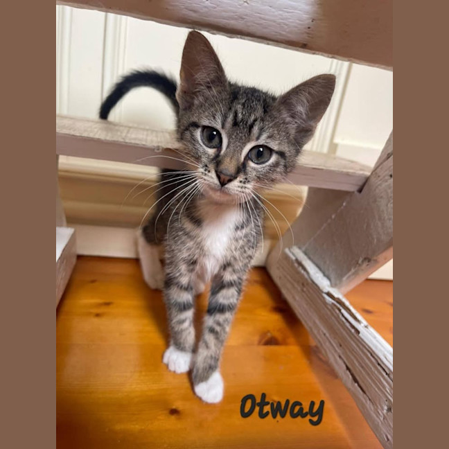 Photo of Otway