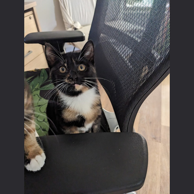 Photo of Miss Marple