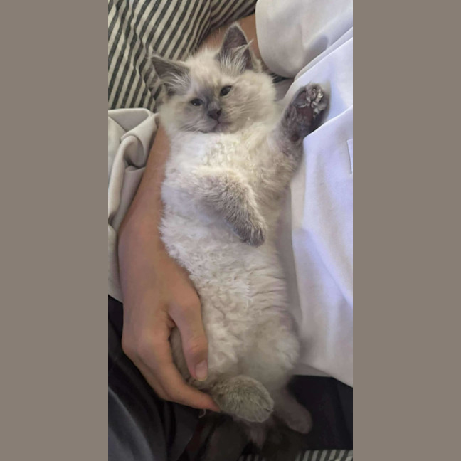 Photo of Mookiee And Myagi