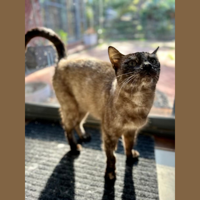 Photo of Paige   Located In Lower Plenty