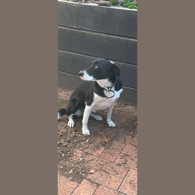 Photo of Maggie