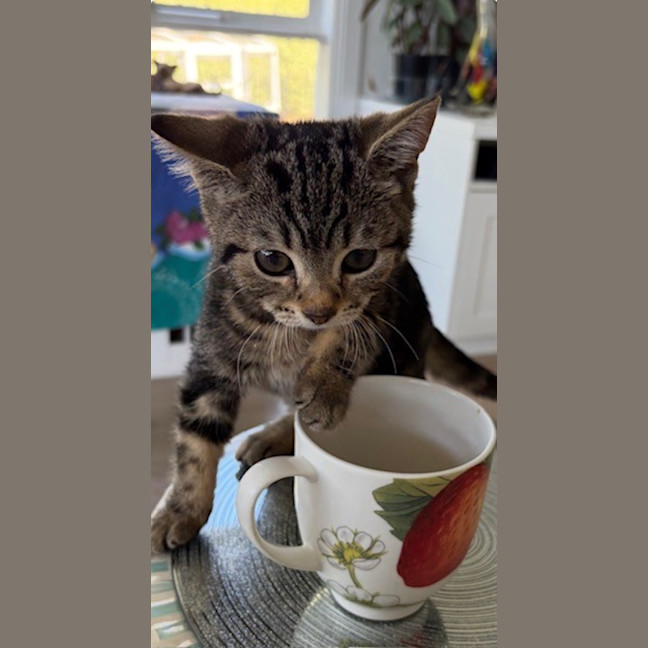 Photo of Wafer And Et