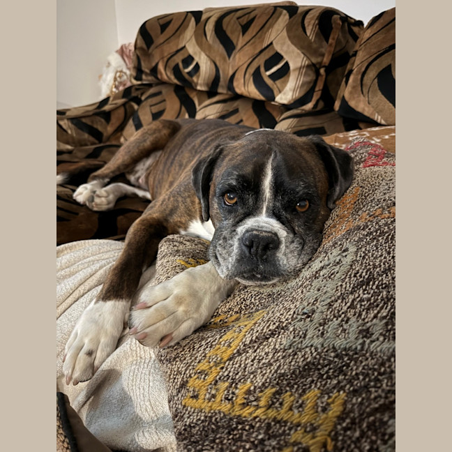 Photo of Sophee