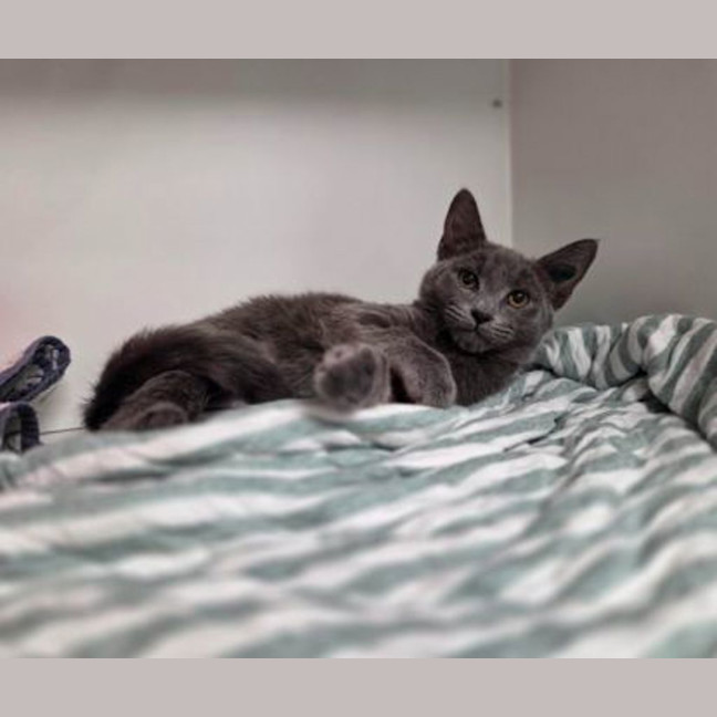 Photo of Precious