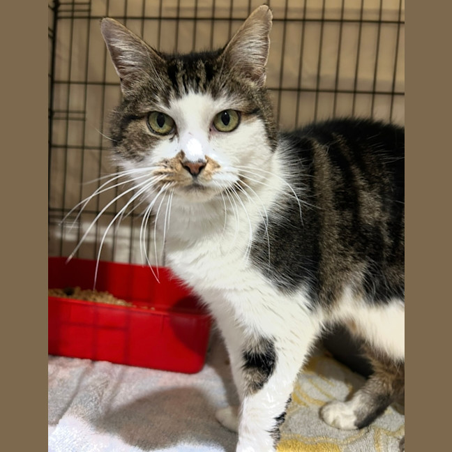 Photo of Beautiful Betty!