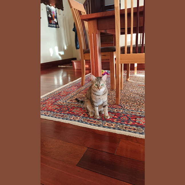 Photo of Jellycat