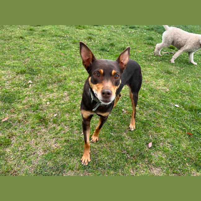 Photo of Cora