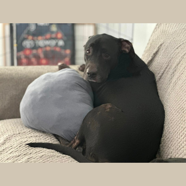 Photo of Roxy